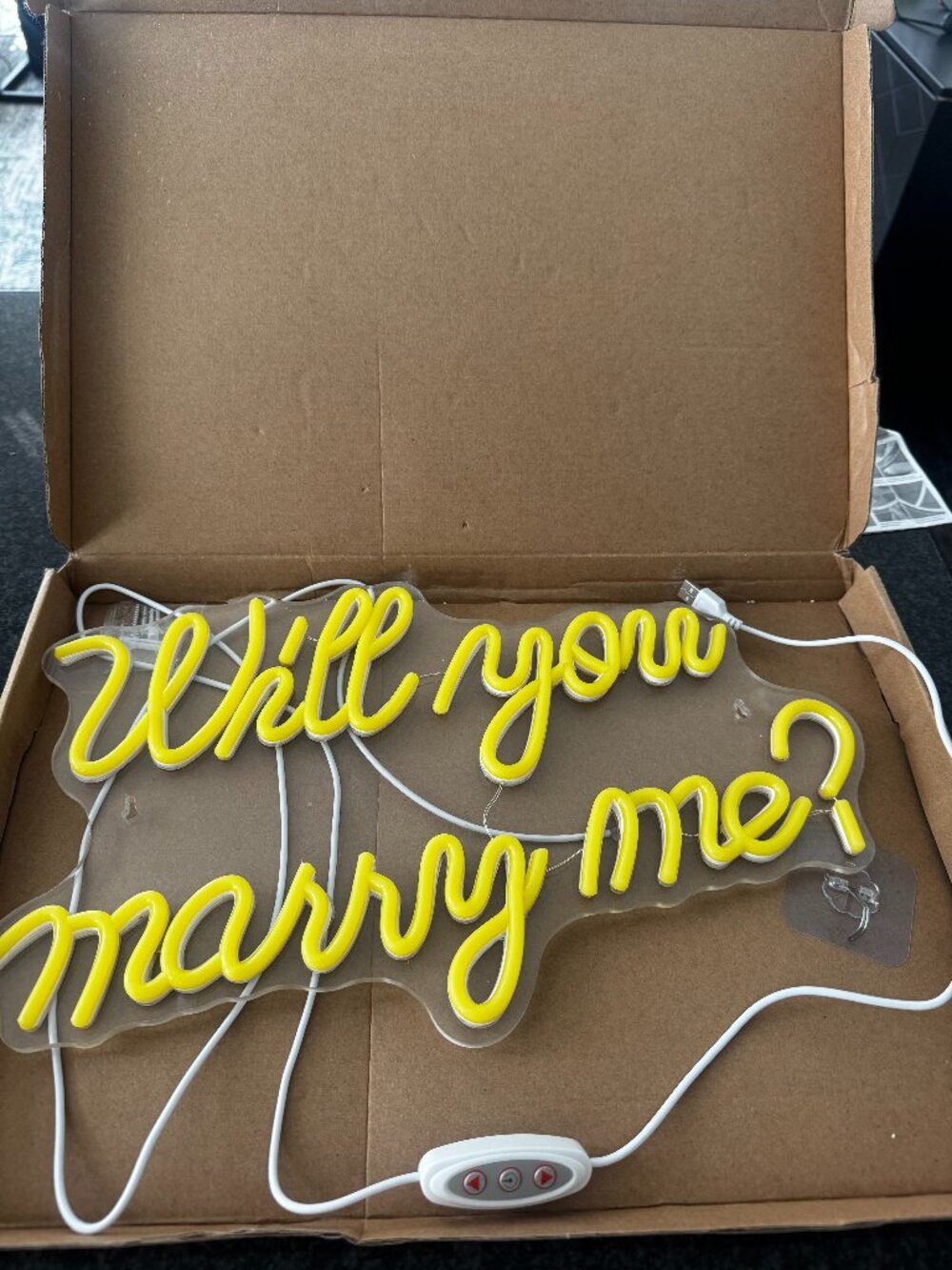 Neon Sign - Will You Marry Me?